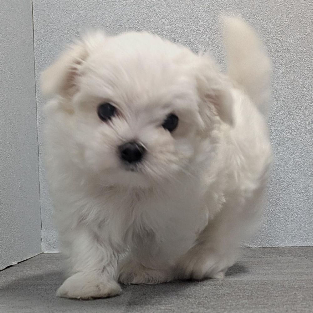 7e96b9fb-17e2-4e12-b271-194ae42b3fa0