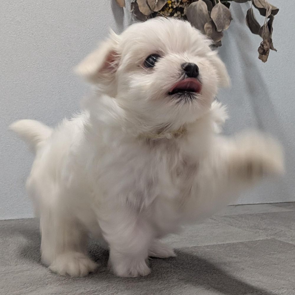 7e96b9fb-17e2-4e12-b271-194ae42b3fa0