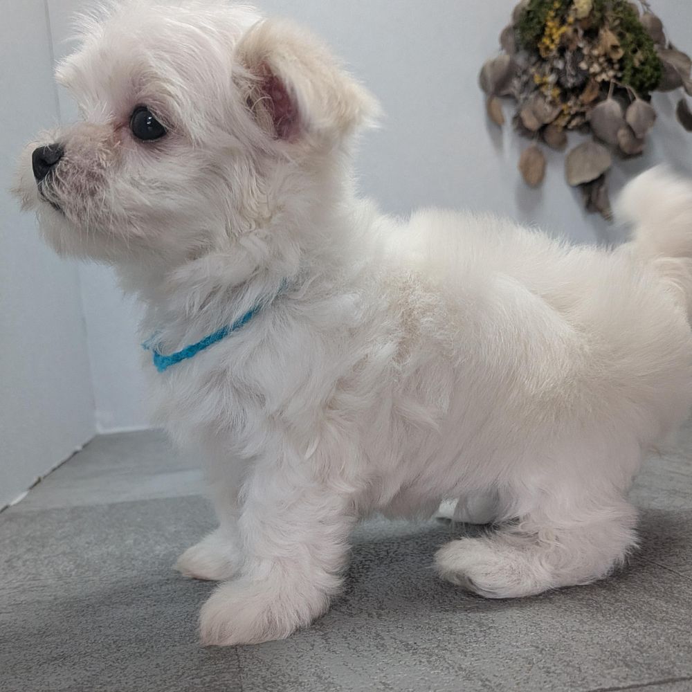 2342906d-60e1-4fa5-a915-06446fdbd313