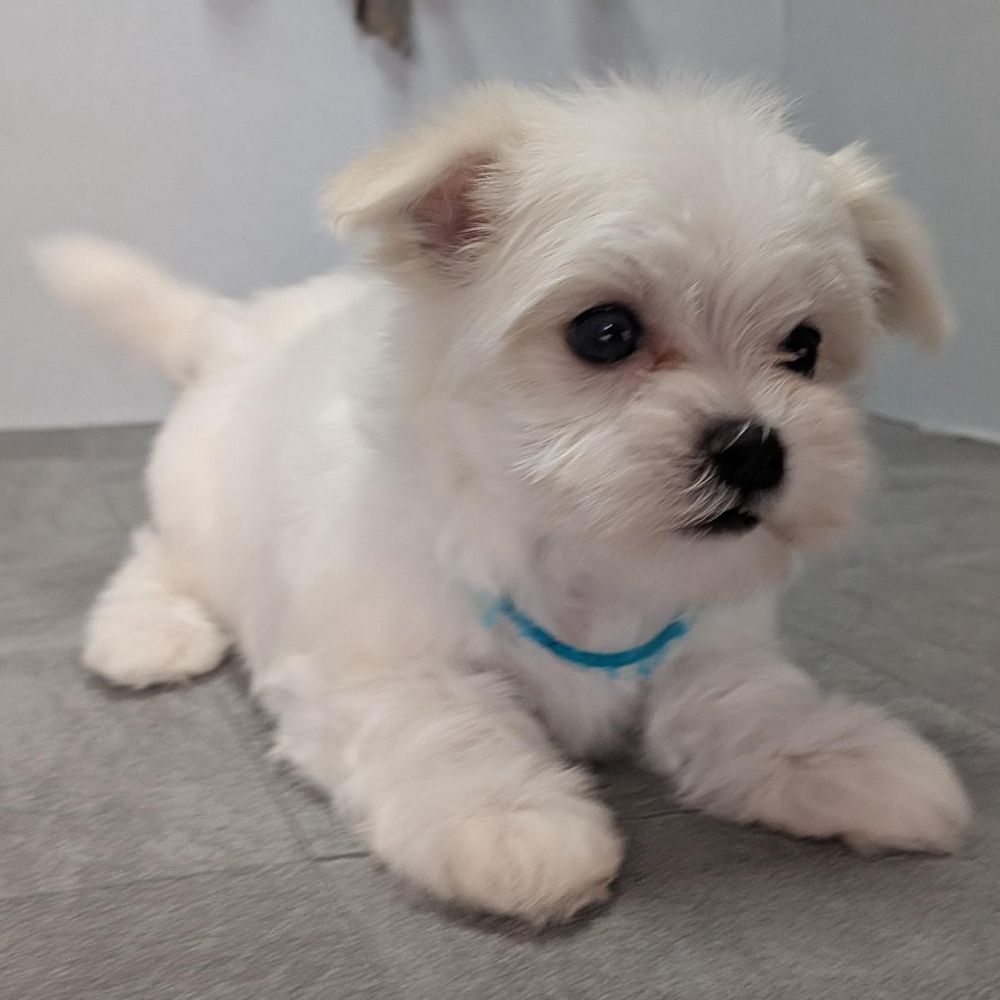 2342906d-60e1-4fa5-a915-06446fdbd313