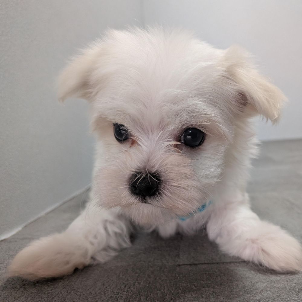 2342906d-60e1-4fa5-a915-06446fdbd313