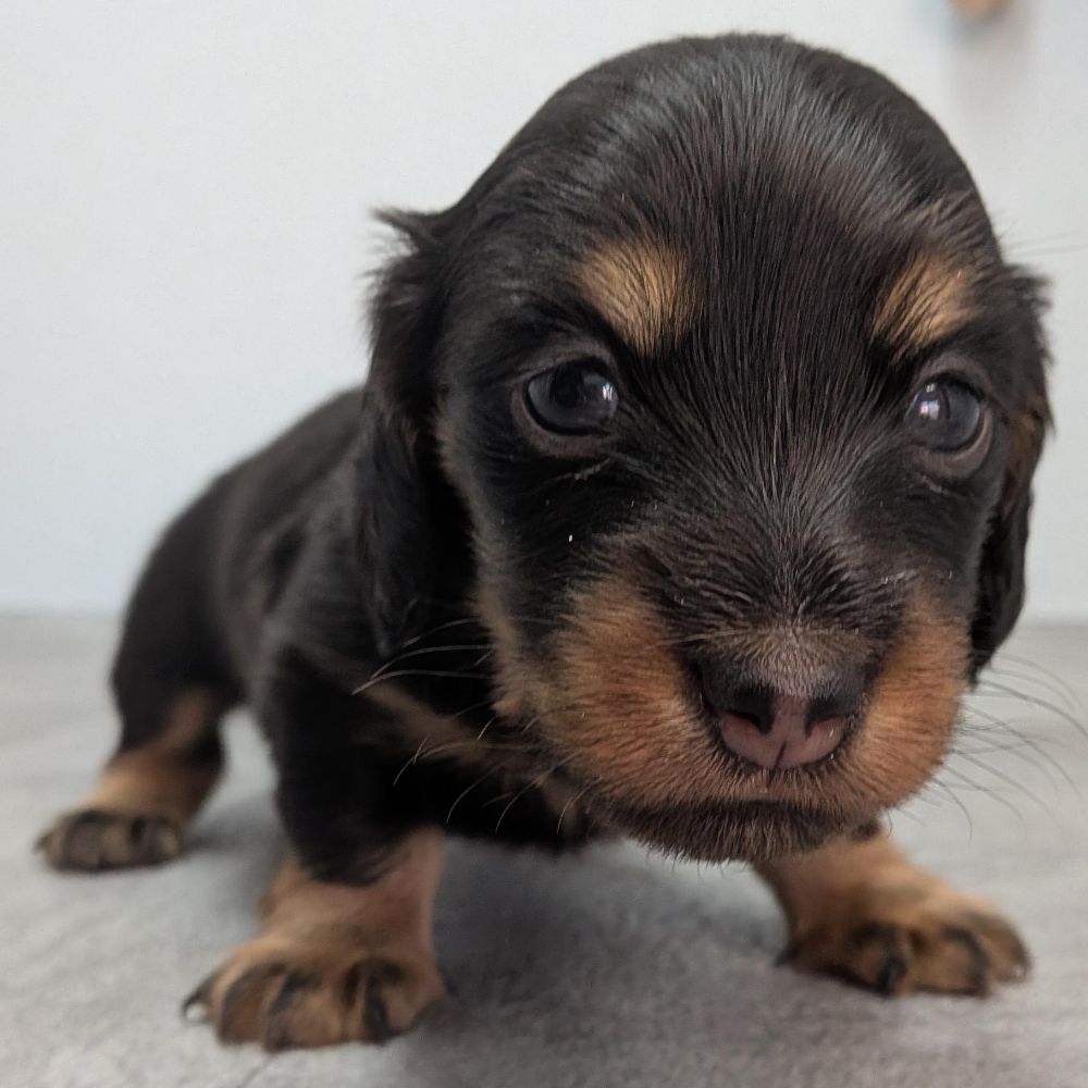 3b21b3ab-f02d-4e70-b750-07ebac22e1a2