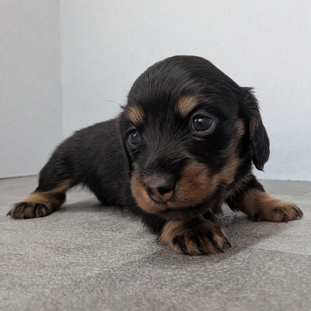 3b21b3ab-f02d-4e70-b750-07ebac22e1a2