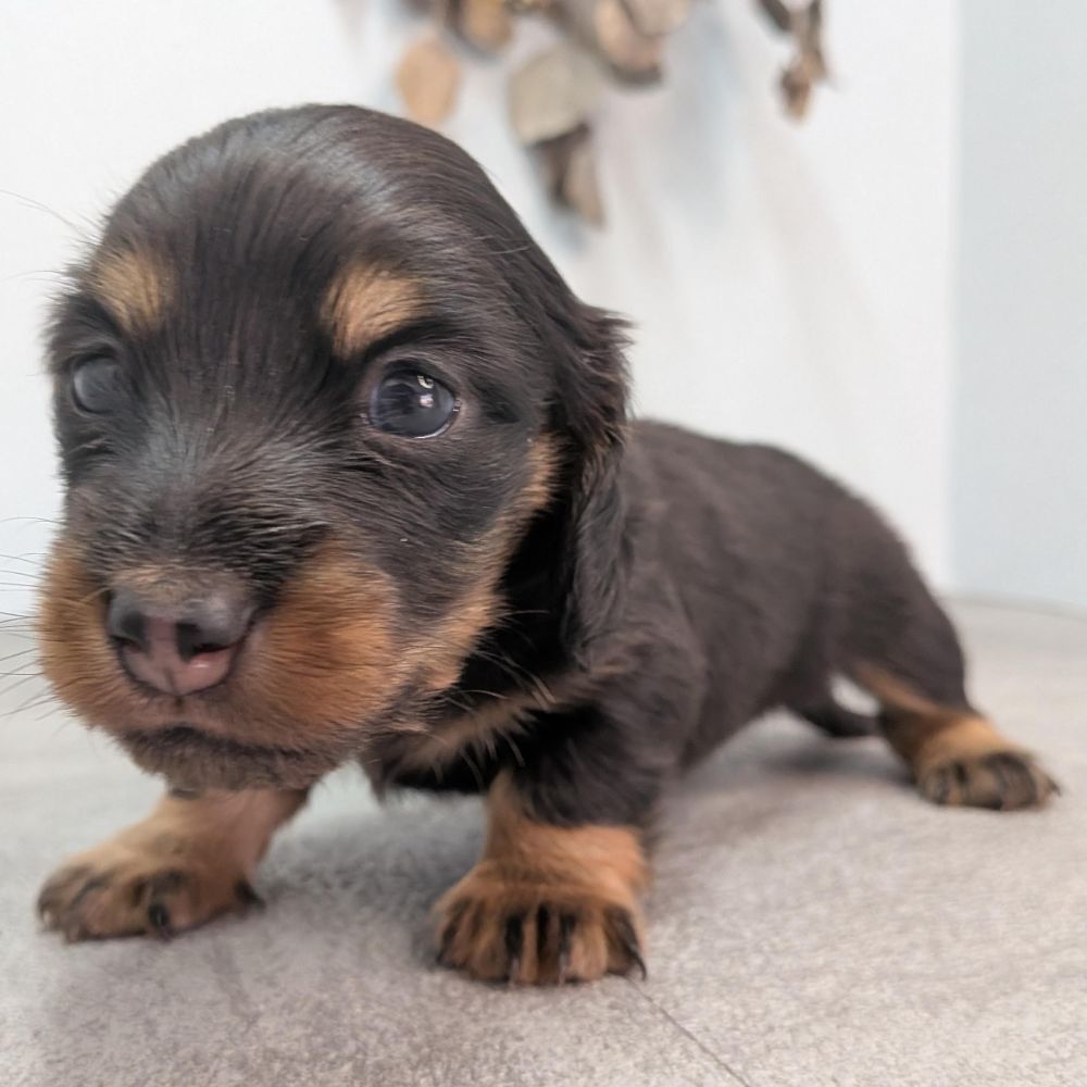 3b21b3ab-f02d-4e70-b750-07ebac22e1a2