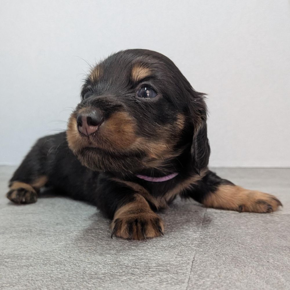 3b21b3ab-f02d-4e70-b750-07ebac22e1a2