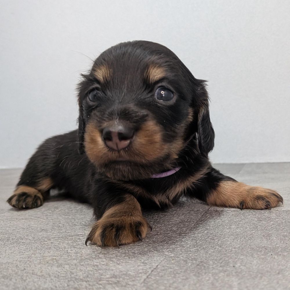 3b21b3ab-f02d-4e70-b750-07ebac22e1a2