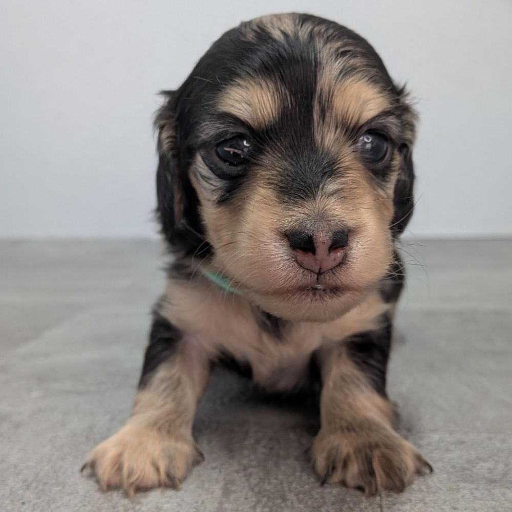 dfa1b13c-ad88-449c-badf-ee9beff23298