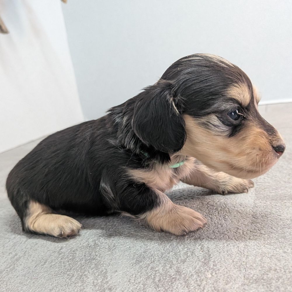 dfa1b13c-ad88-449c-badf-ee9beff23298