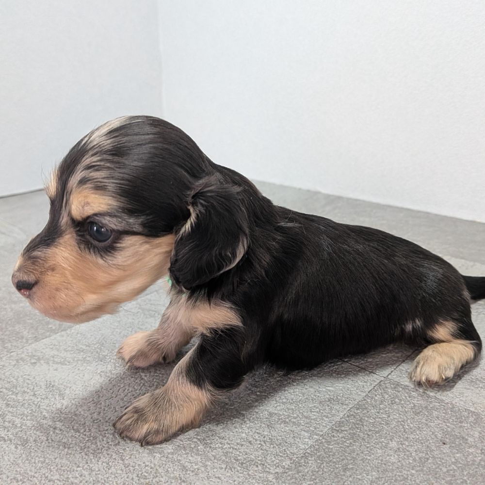 dfa1b13c-ad88-449c-badf-ee9beff23298