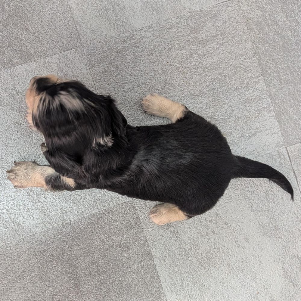 dfa1b13c-ad88-449c-badf-ee9beff23298