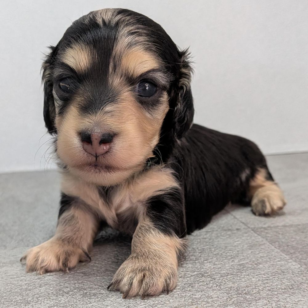 dfa1b13c-ad88-449c-badf-ee9beff23298