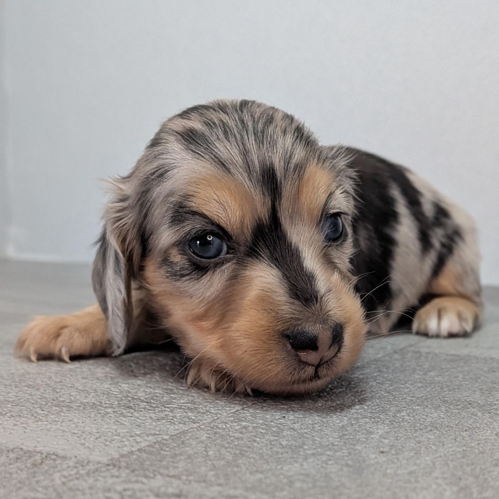 d221eeba-d844-4a5d-bacb-e1ca857ea8cb