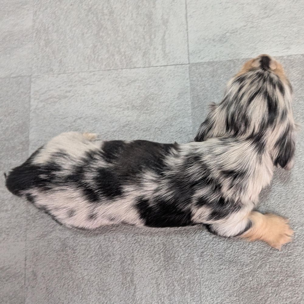 d221eeba-d844-4a5d-bacb-e1ca857ea8cb