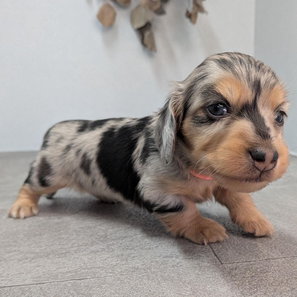 d221eeba-d844-4a5d-bacb-e1ca857ea8cb