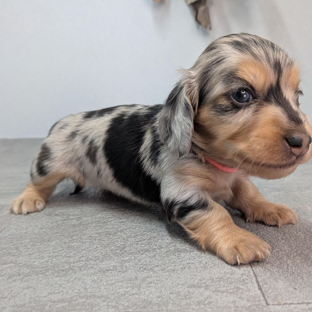 d221eeba-d844-4a5d-bacb-e1ca857ea8cb