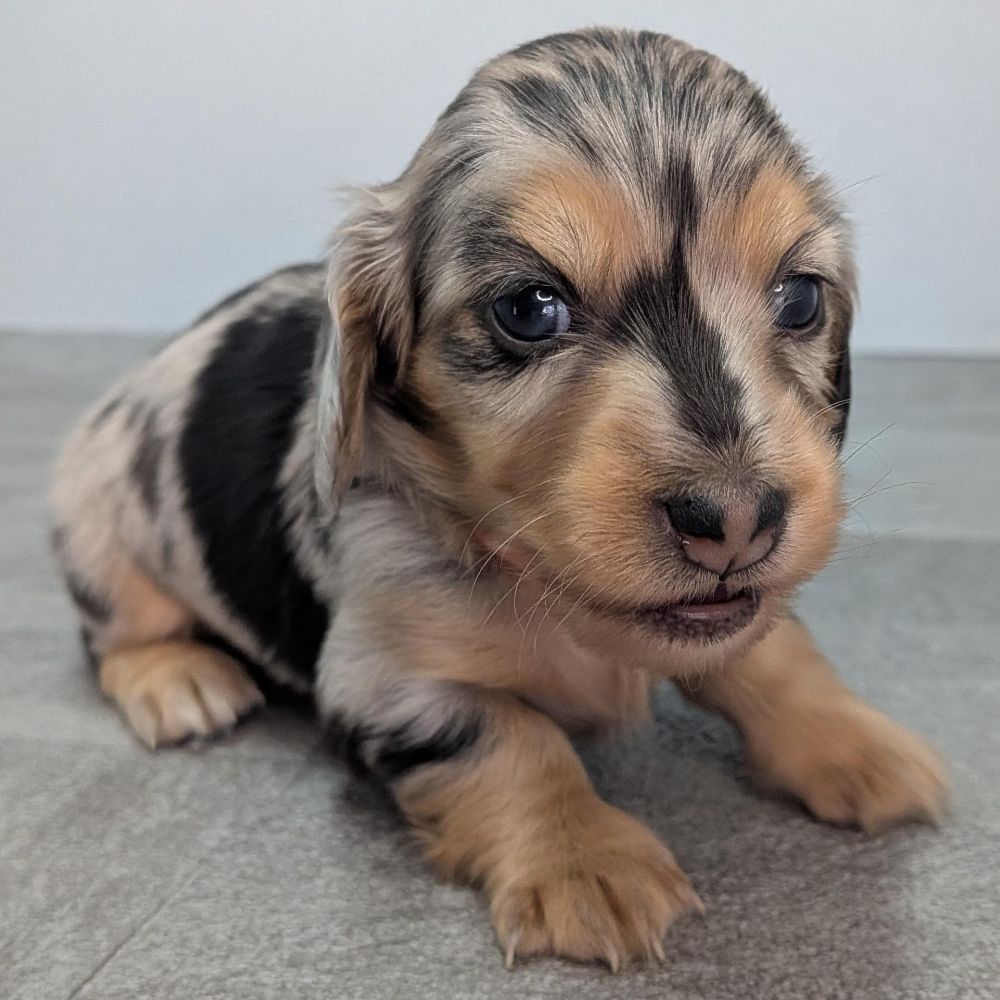 d221eeba-d844-4a5d-bacb-e1ca857ea8cb