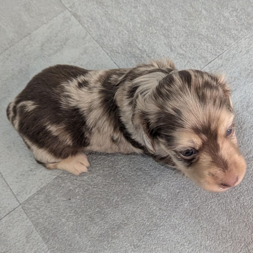 ead42762-7dd3-470e-beae-b5050129ac6c