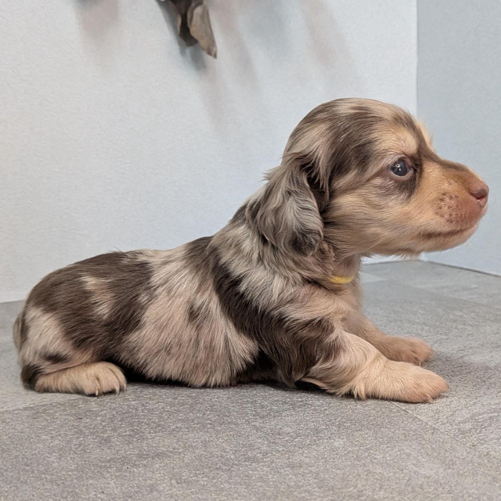 ead42762-7dd3-470e-beae-b5050129ac6c