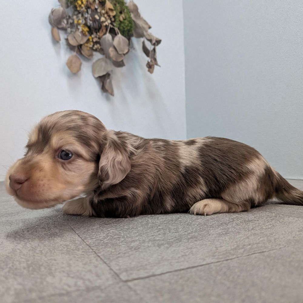 ead42762-7dd3-470e-beae-b5050129ac6c