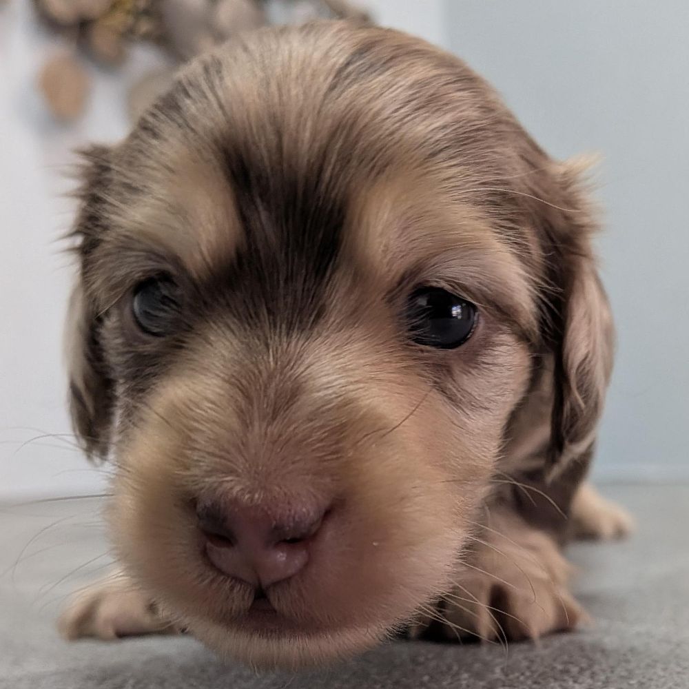 ead42762-7dd3-470e-beae-b5050129ac6c