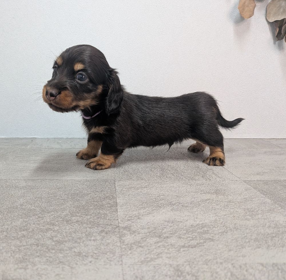 3b21b3ab-f02d-4e70-b750-07ebac22e1a2