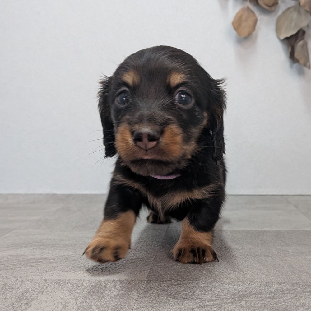 3b21b3ab-f02d-4e70-b750-07ebac22e1a2