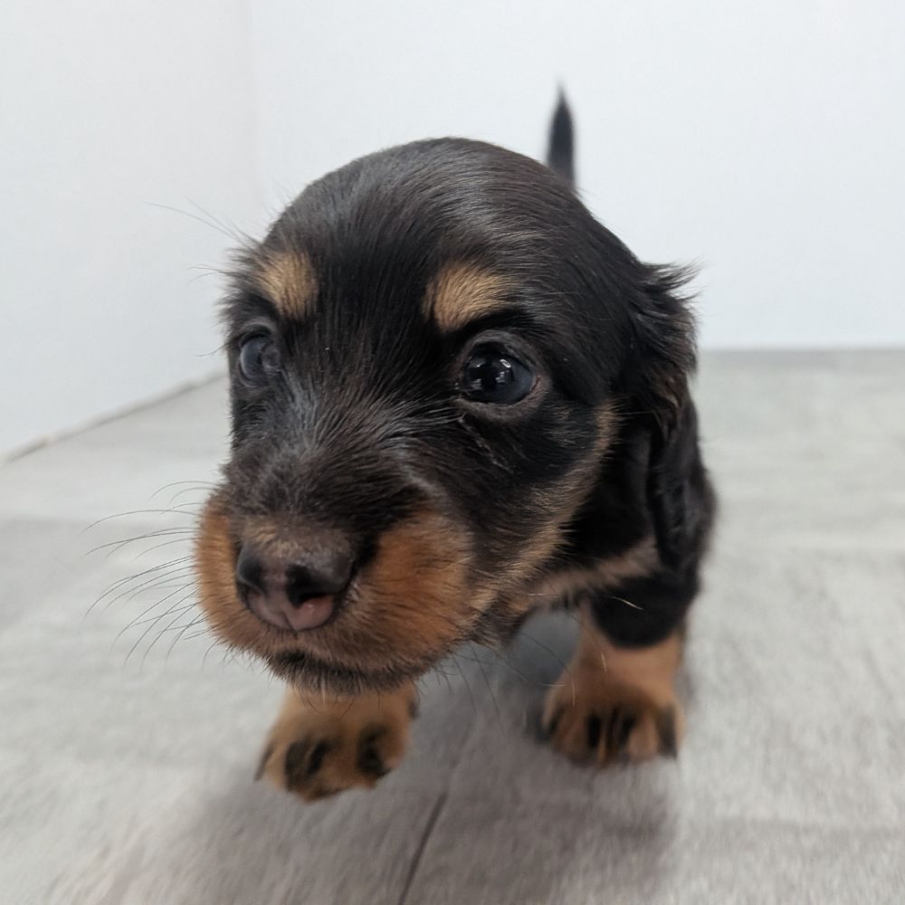 3b21b3ab-f02d-4e70-b750-07ebac22e1a2