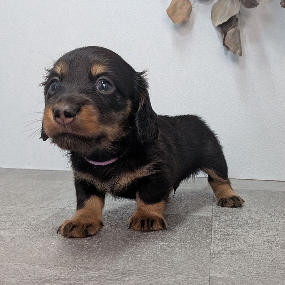 3b21b3ab-f02d-4e70-b750-07ebac22e1a2