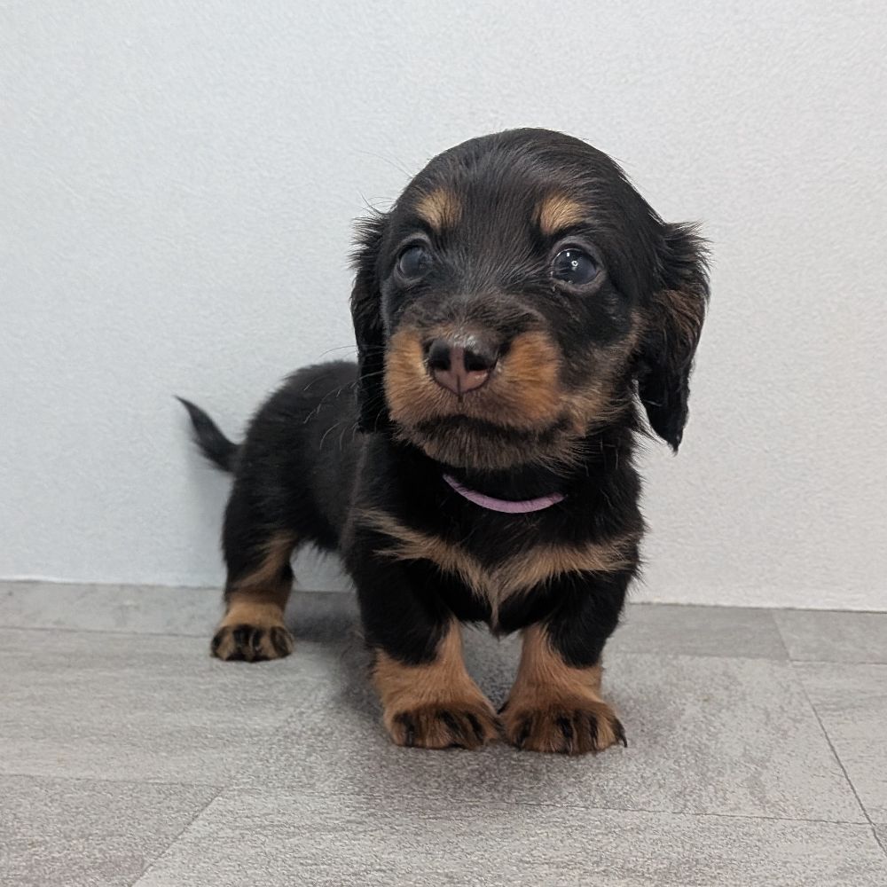 3b21b3ab-f02d-4e70-b750-07ebac22e1a2