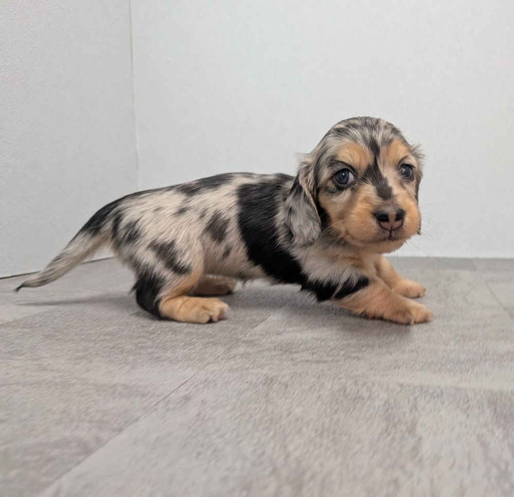 d221eeba-d844-4a5d-bacb-e1ca857ea8cb