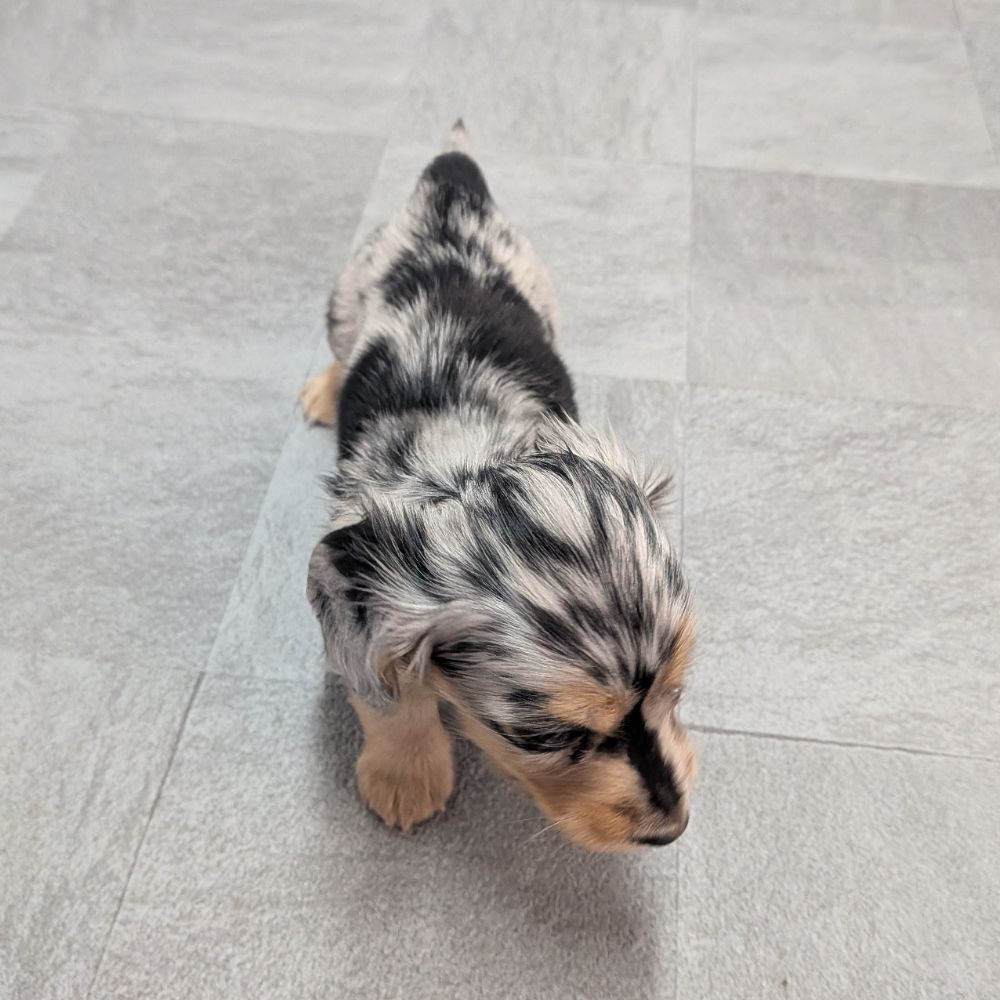 d221eeba-d844-4a5d-bacb-e1ca857ea8cb