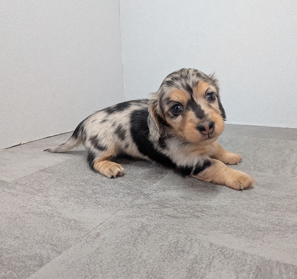 d221eeba-d844-4a5d-bacb-e1ca857ea8cb