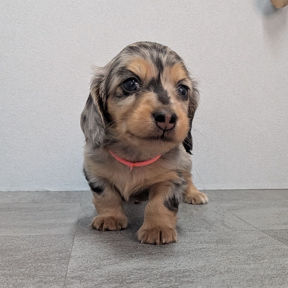 d221eeba-d844-4a5d-bacb-e1ca857ea8cb