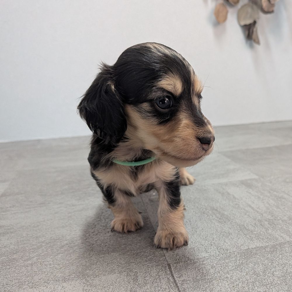 dfa1b13c-ad88-449c-badf-ee9beff23298