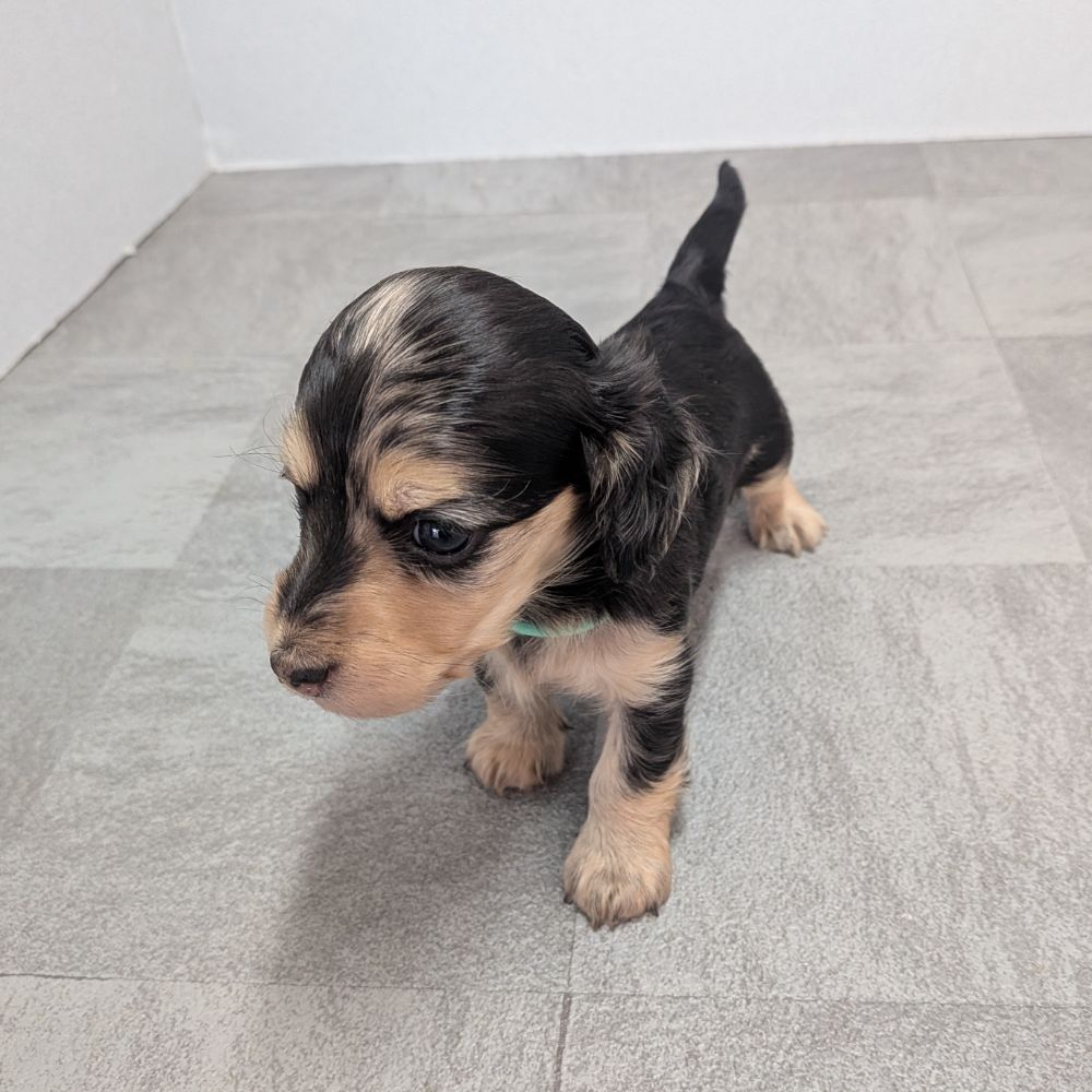 dfa1b13c-ad88-449c-badf-ee9beff23298