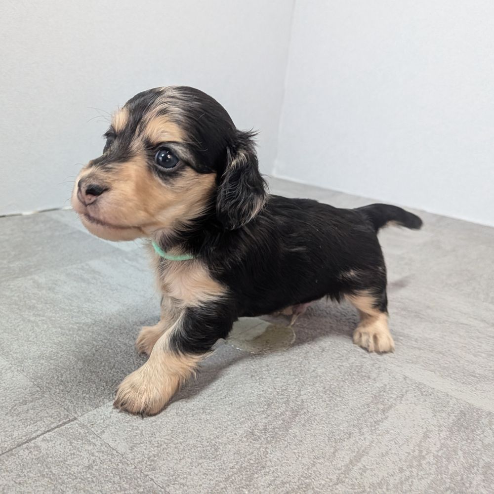 dfa1b13c-ad88-449c-badf-ee9beff23298