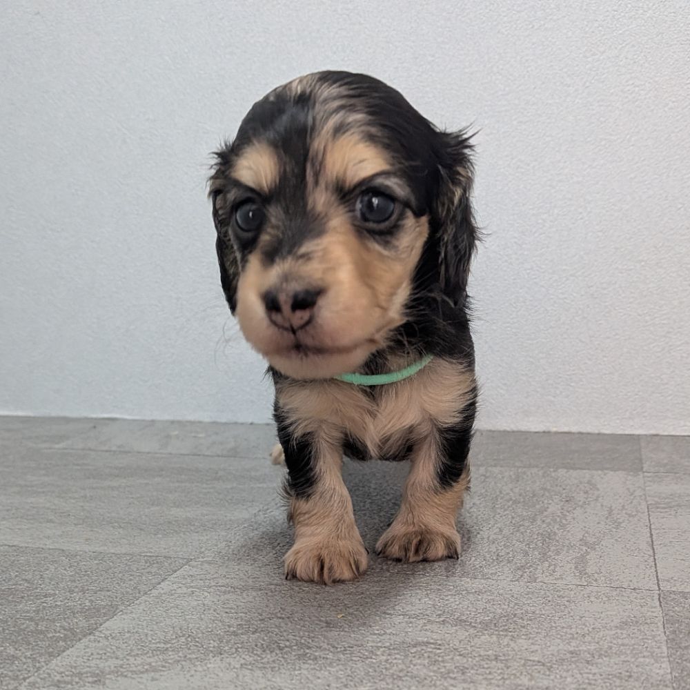 dfa1b13c-ad88-449c-badf-ee9beff23298