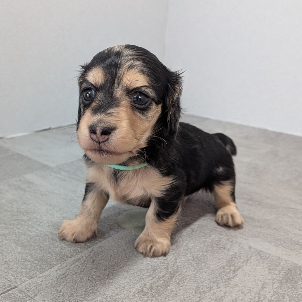 dfa1b13c-ad88-449c-badf-ee9beff23298