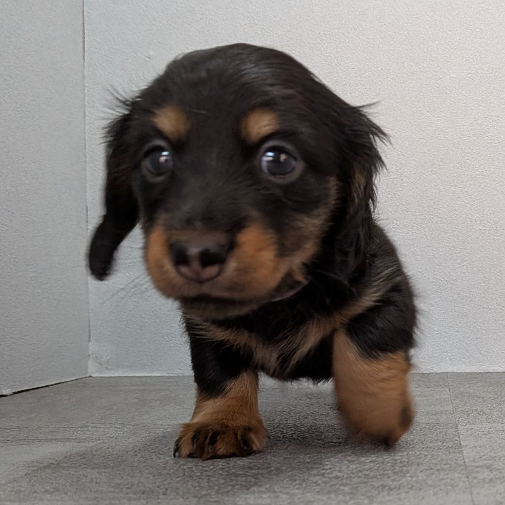 3b21b3ab-f02d-4e70-b750-07ebac22e1a2