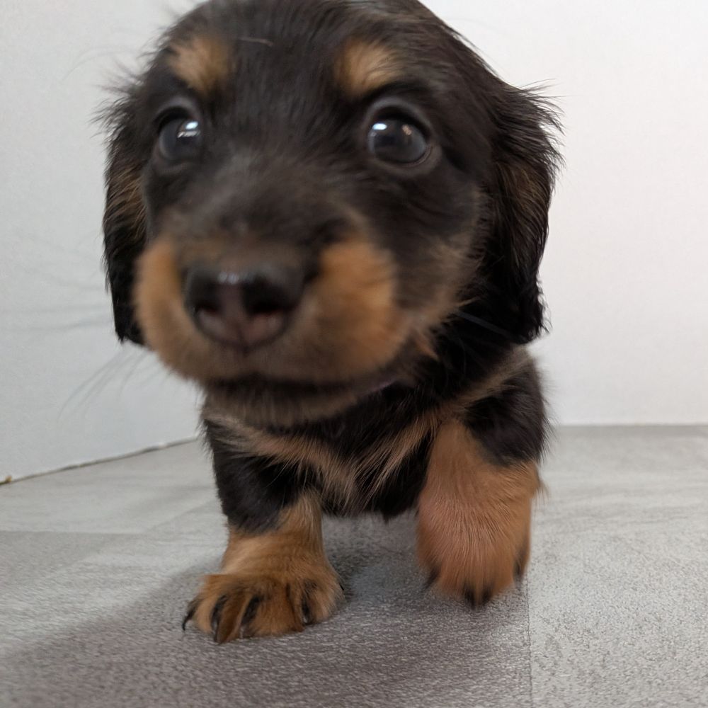 3b21b3ab-f02d-4e70-b750-07ebac22e1a2