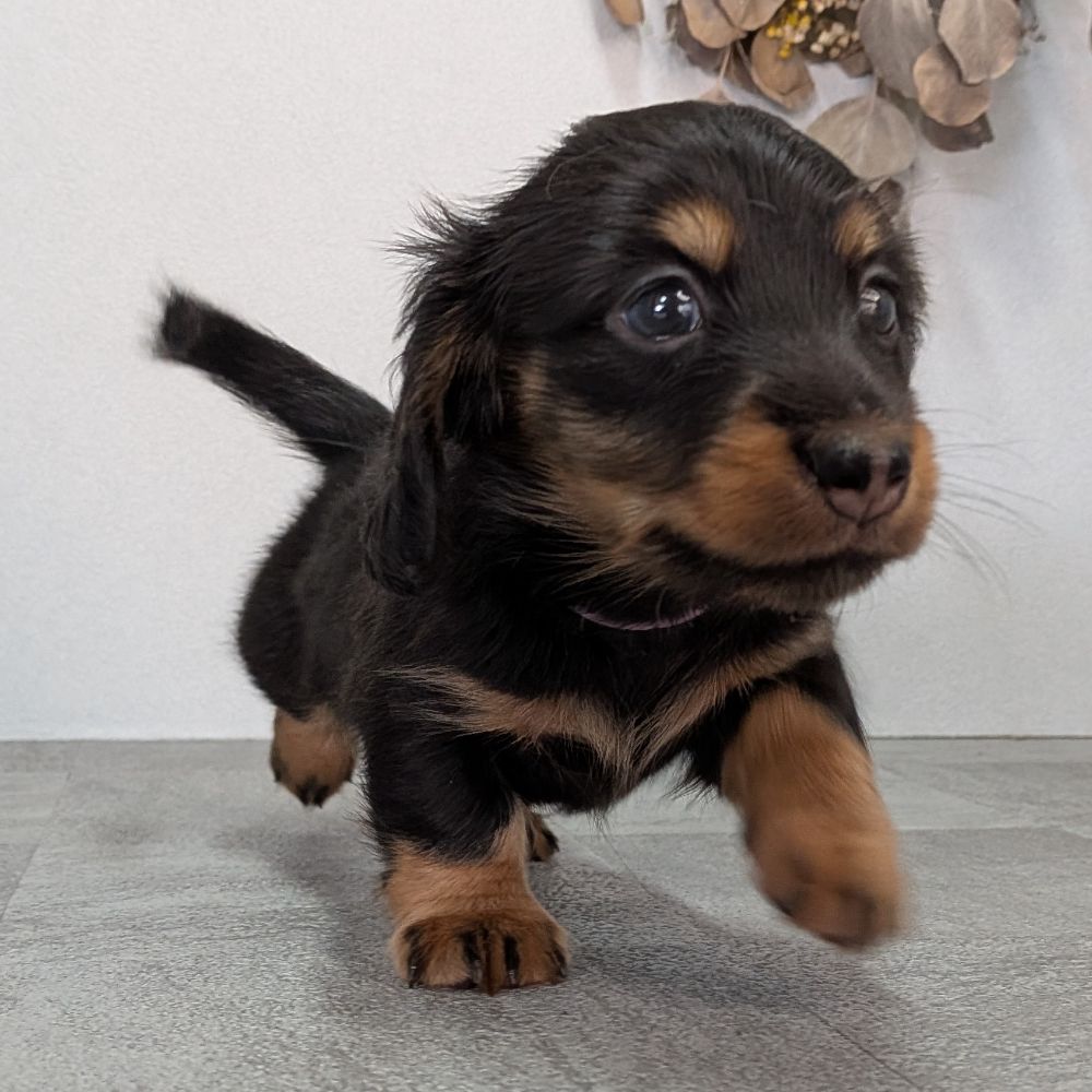 3b21b3ab-f02d-4e70-b750-07ebac22e1a2