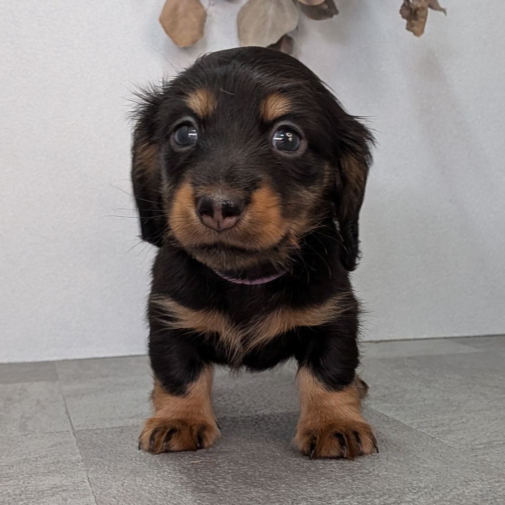 3b21b3ab-f02d-4e70-b750-07ebac22e1a2