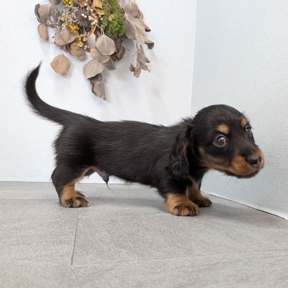 3b21b3ab-f02d-4e70-b750-07ebac22e1a2