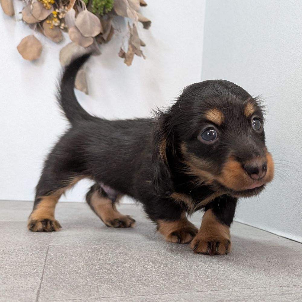 3b21b3ab-f02d-4e70-b750-07ebac22e1a2