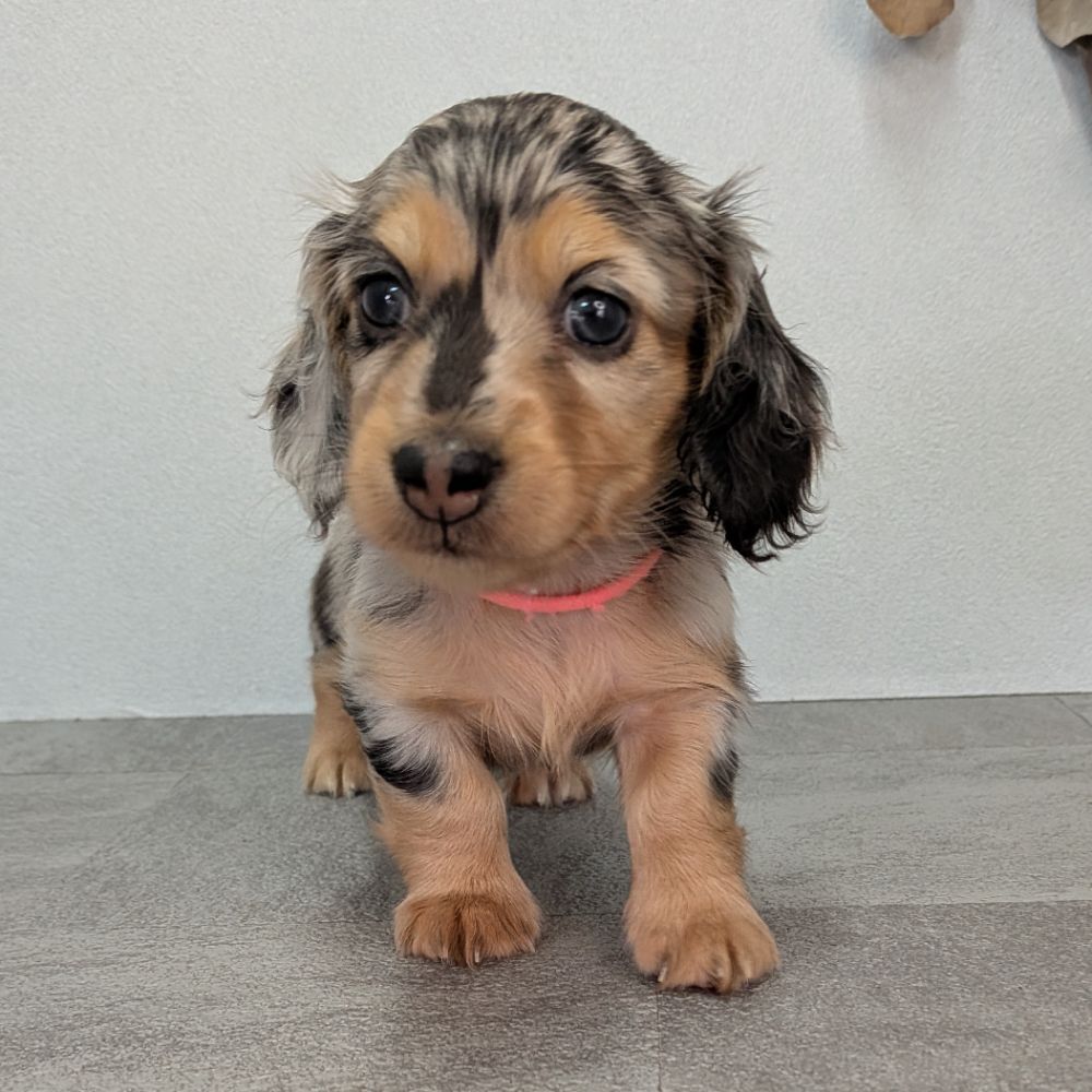 d221eeba-d844-4a5d-bacb-e1ca857ea8cb