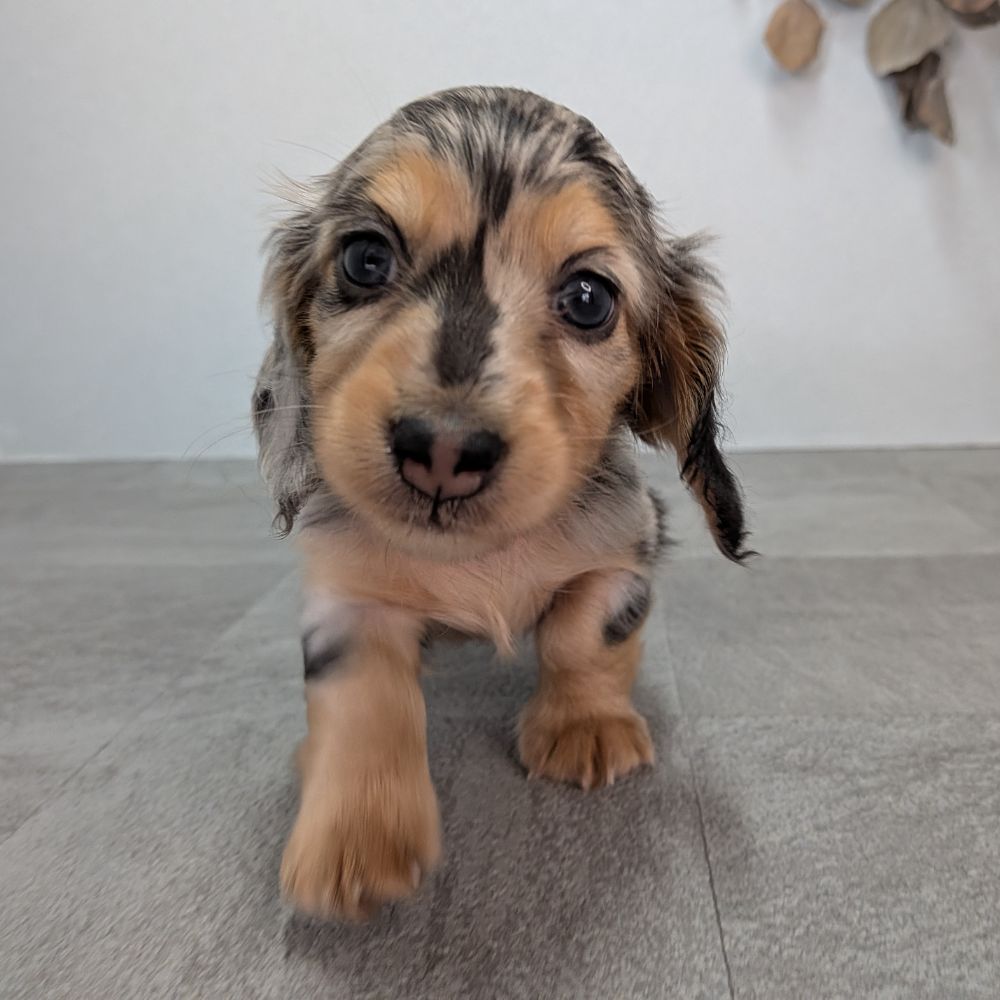 d221eeba-d844-4a5d-bacb-e1ca857ea8cb