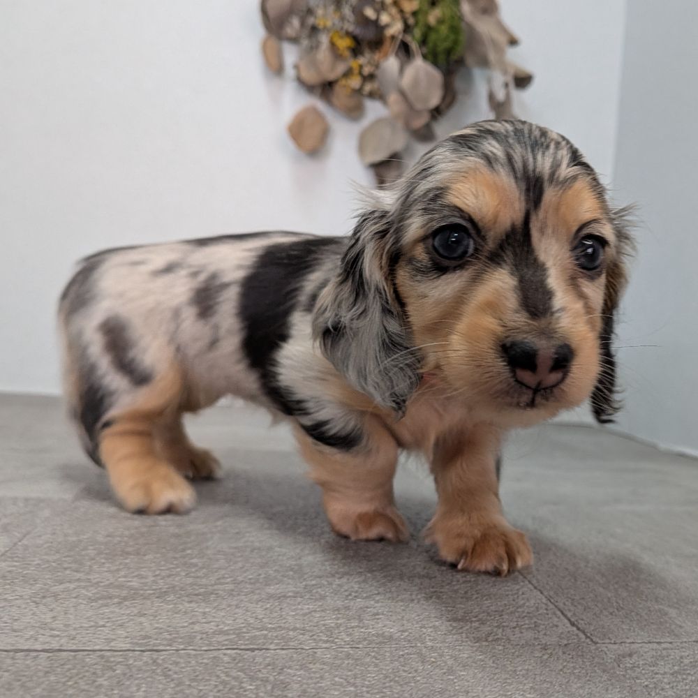 d221eeba-d844-4a5d-bacb-e1ca857ea8cb