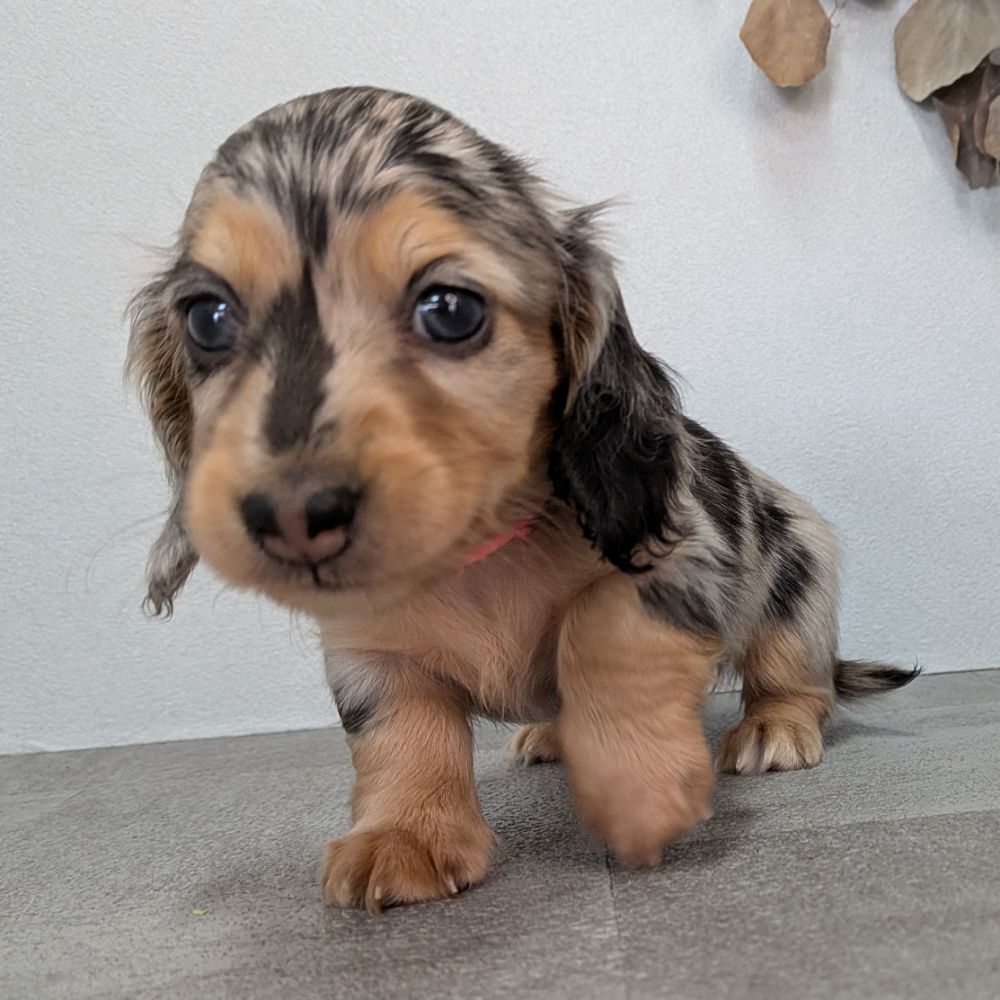 d221eeba-d844-4a5d-bacb-e1ca857ea8cb