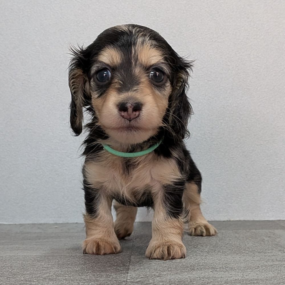 dfa1b13c-ad88-449c-badf-ee9beff23298