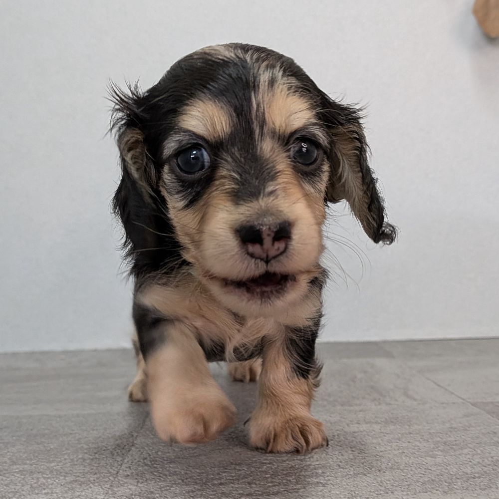 dfa1b13c-ad88-449c-badf-ee9beff23298